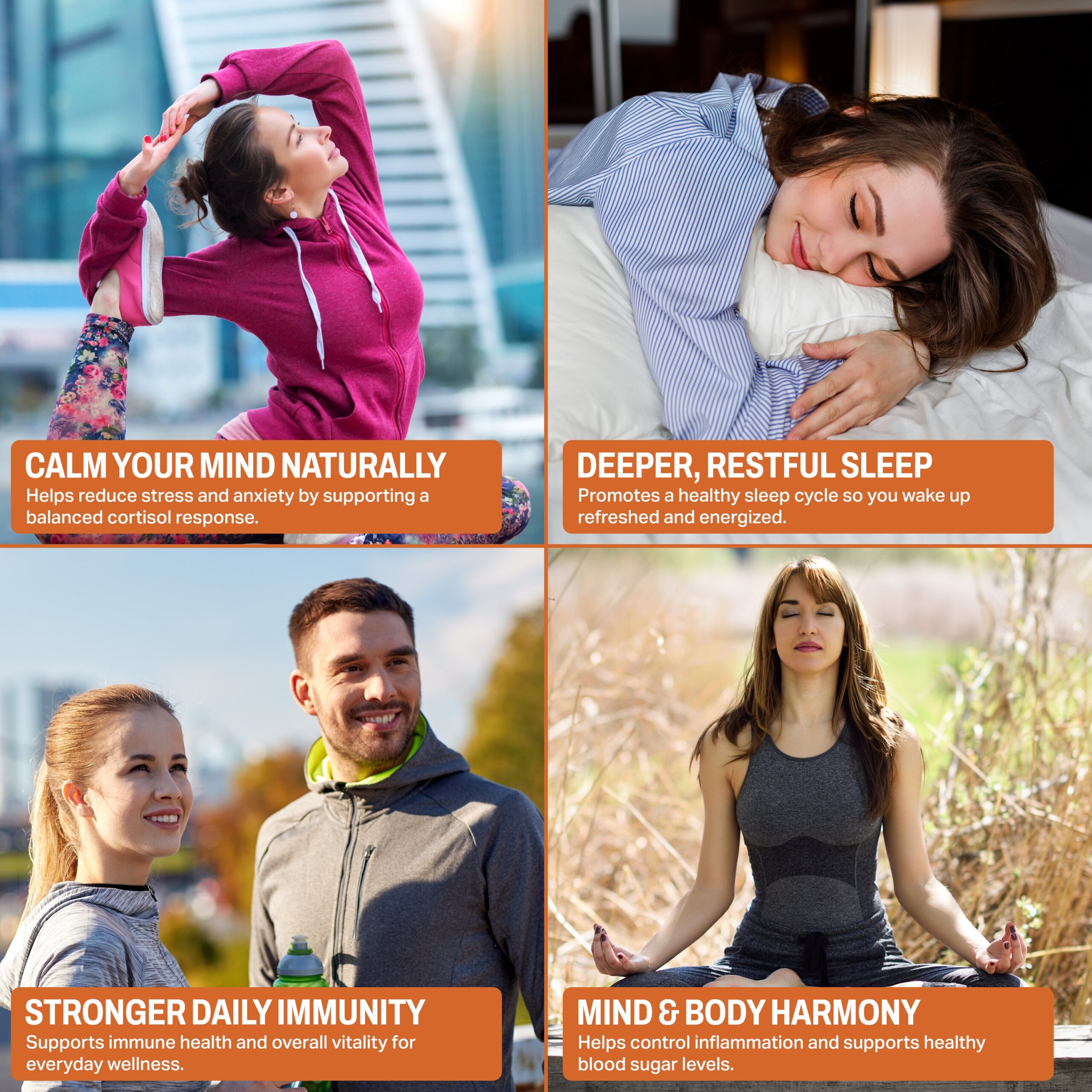 Ashwagandha - Image 5